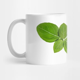 Basil leaves isolated on white background Mug